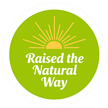 Vanodesh – Rooted with Culture